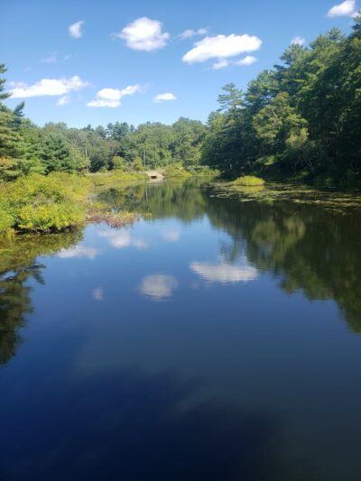 Nequasset Park - Woolwich, ME