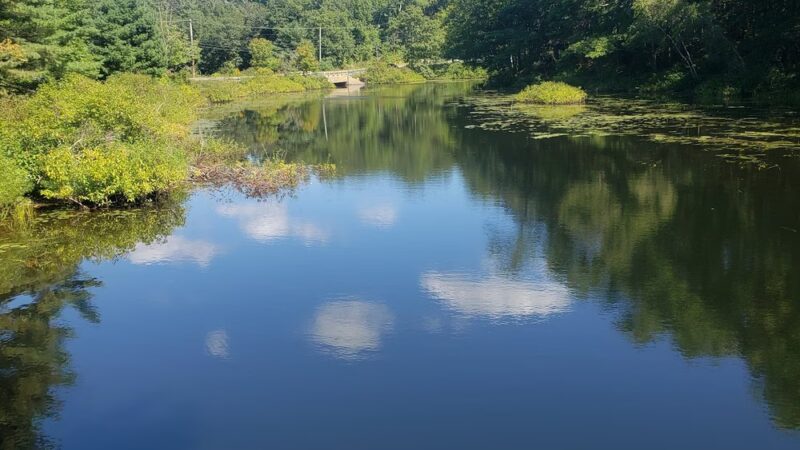 Nequasset Park - Woolwich, ME