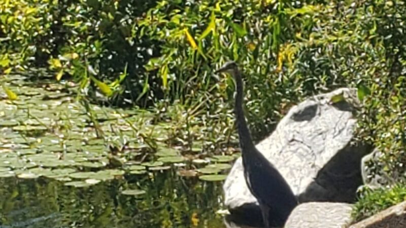 Nequasset Park - Woolwich, ME