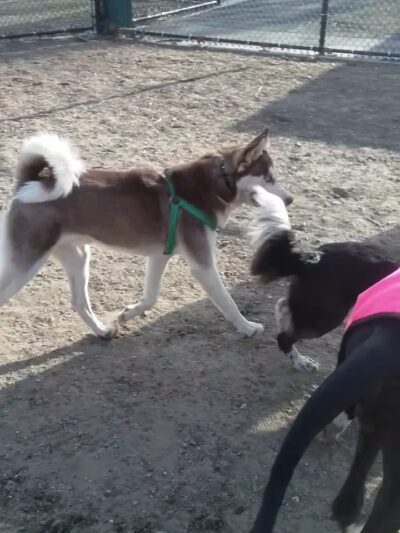 Beaver Brook Park - Worcester, MA