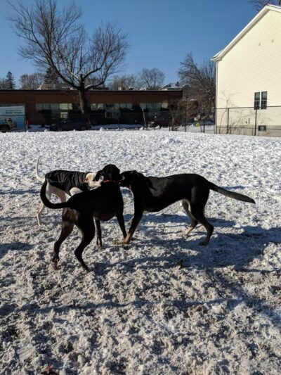 Beaver Brook Park - Worcester, MA