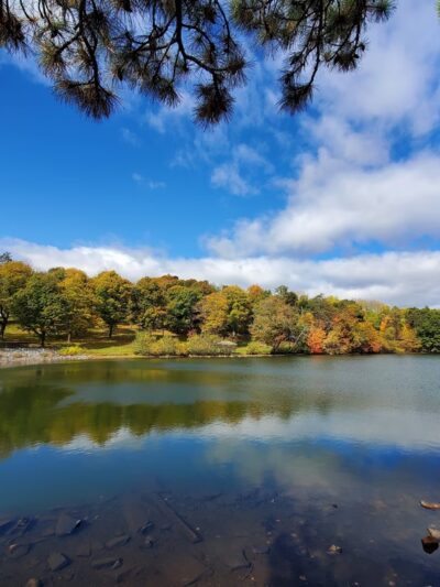 Green Hill Park - Worcester, MA