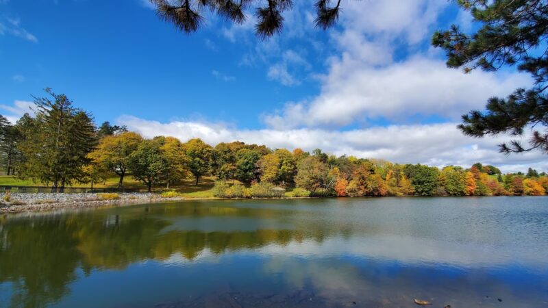 Green Hill Park - Worcester, MA