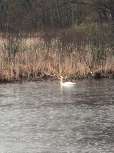 Hadwen Park - Worcester, MA