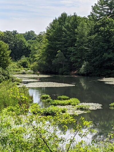 Hadwen Park - Worcester, MA