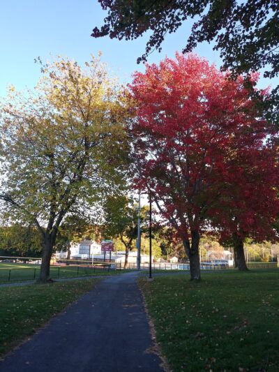 Vernon Hill Park - Worcester, MA