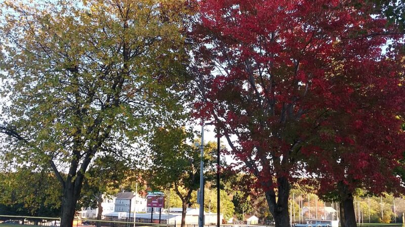 Vernon Hill Park - Worcester, MA