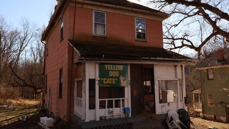 Yellow Dog Village - Worthington, PA