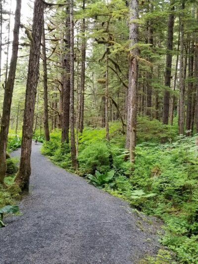 Nature Trail - Wrangell, AK