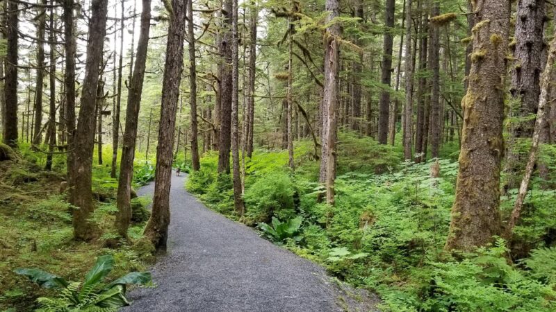 Nature Trail - Wrangell, AK