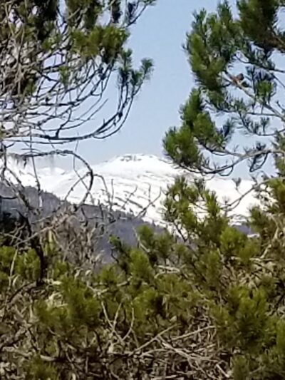 Nature Trail - Wrangell, AK