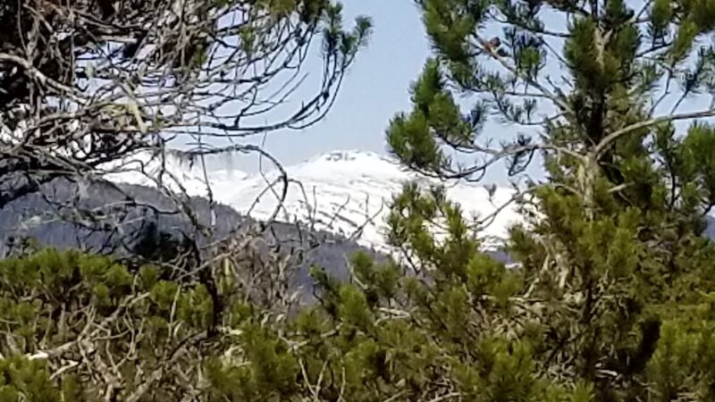 Nature Trail - Wrangell, AK