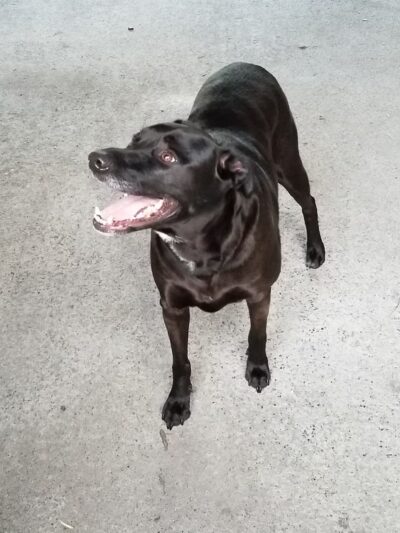 Nature Trail - Wrangell, AK