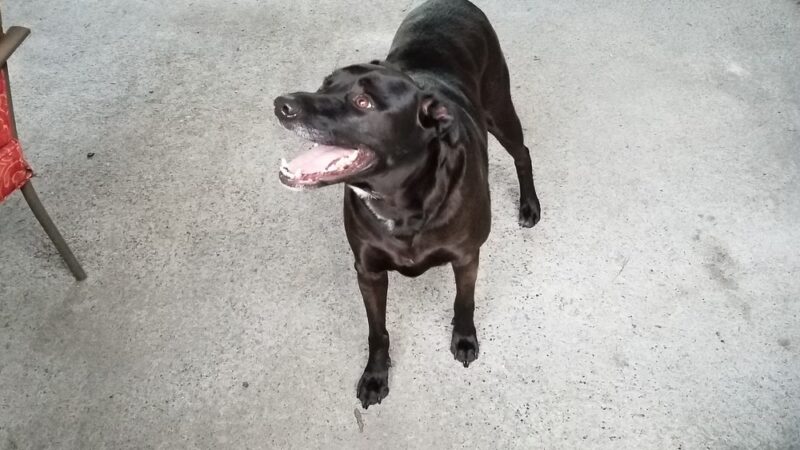 Nature Trail - Wrangell, AK