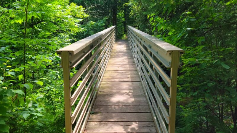 Superior Hiking Trail Wild Valley Rd. Trailhead - Wrenshall, MN