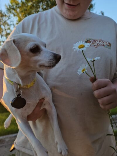 Veterans Evergreen Memorial Park - Wrenshall, MN