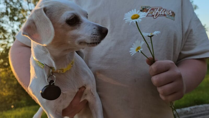 Veterans Evergreen Memorial Park - Wrenshall, MN