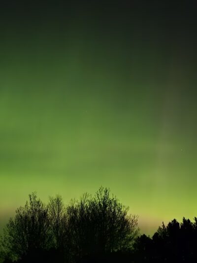 Veterans Evergreen Memorial Park - Wrenshall, MN