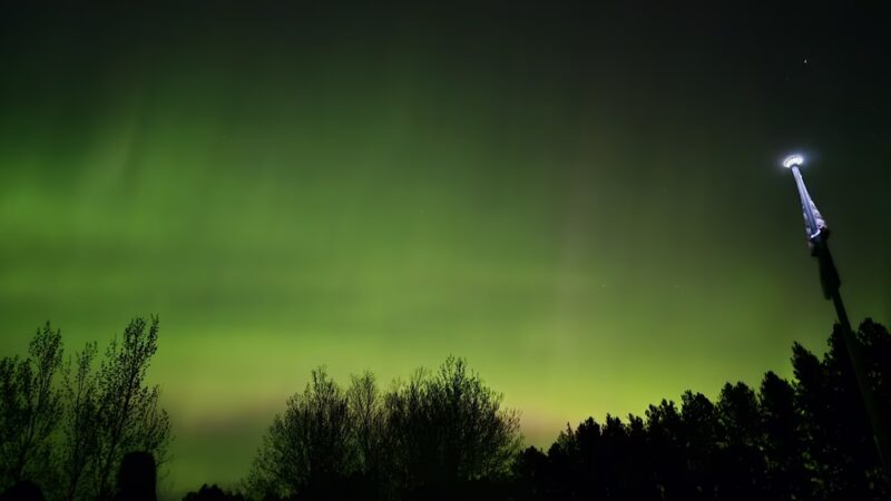 Veterans Evergreen Memorial Park - Wrenshall, MN