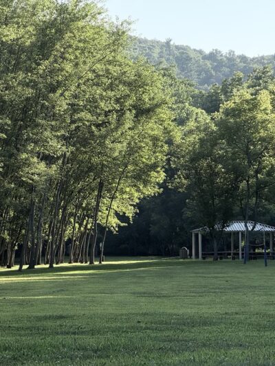 Wyalusing Creekside Park - Wyalusing, PA
