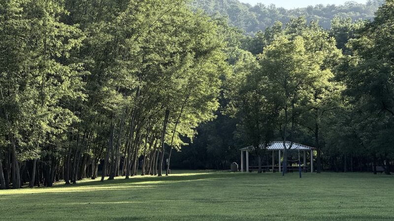 Wyalusing Creekside Park - Wyalusing, PA