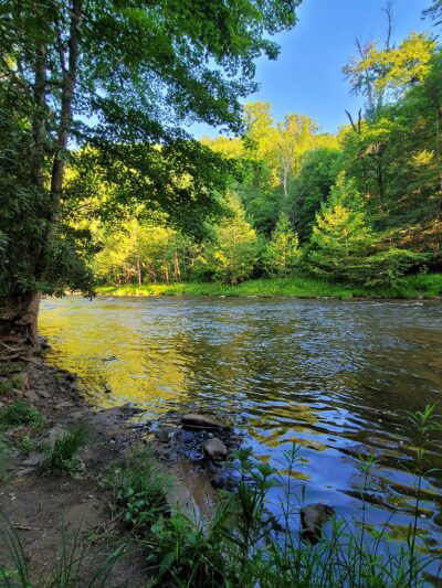 Lower Glady Dispersed Campground - Wymer, WV