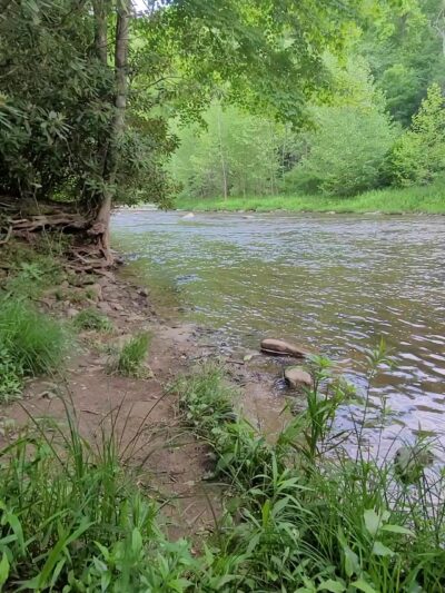 Lower Glady Dispersed Campground - Wymer, WV