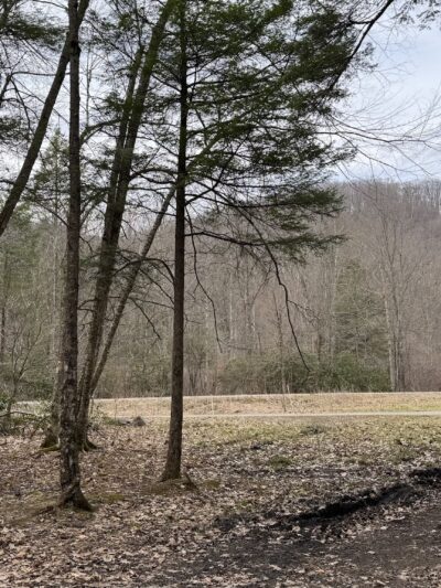 Lower Glady Dispersed Campground - Wymer, WV