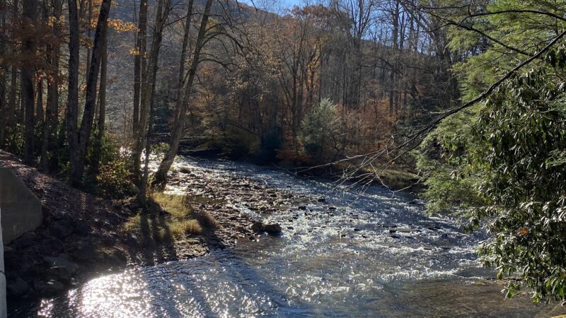 Lower Glady Dispersed Campground - Wymer, WV