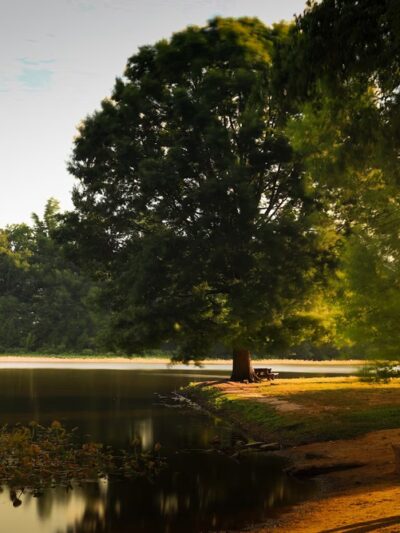 Wyoming Park - Wyoming, DE