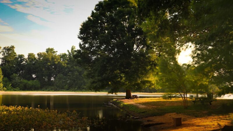 Wyoming Park - Wyoming, DE