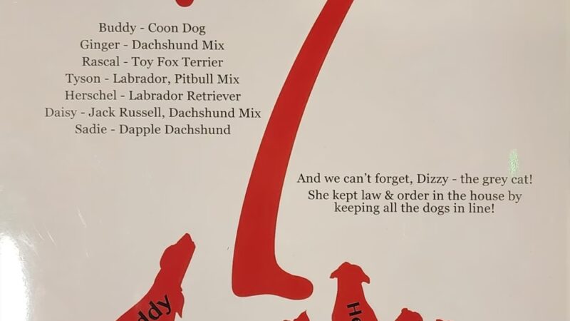 7 Dogs Brew Pub - Wytheville, VA