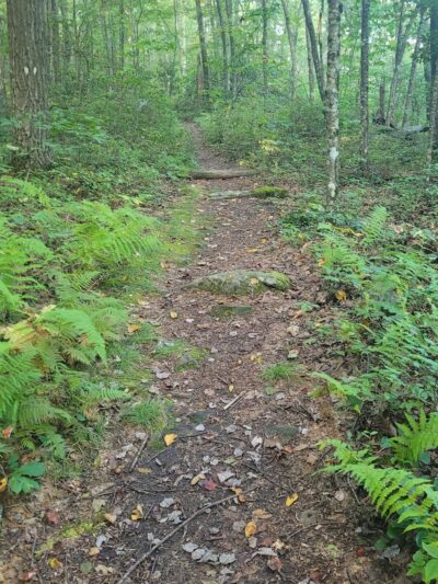 High Rocks Trailhead - Wytheville, VA