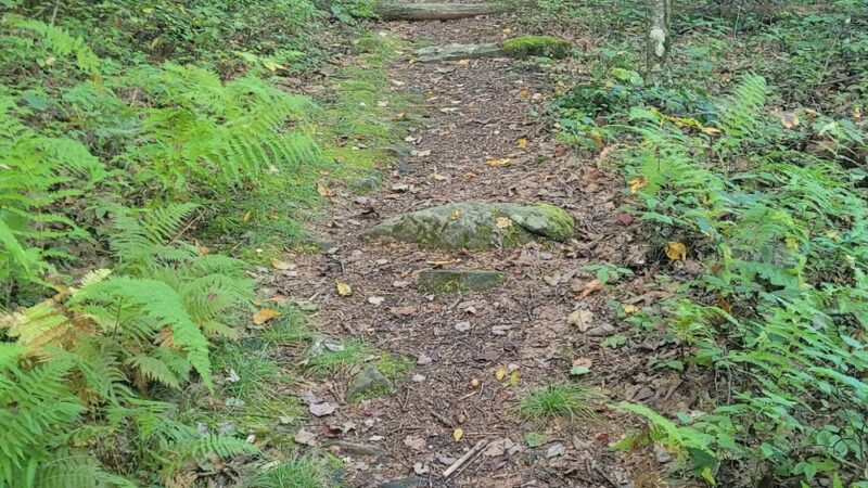 High Rocks Trailhead - Wytheville, VA