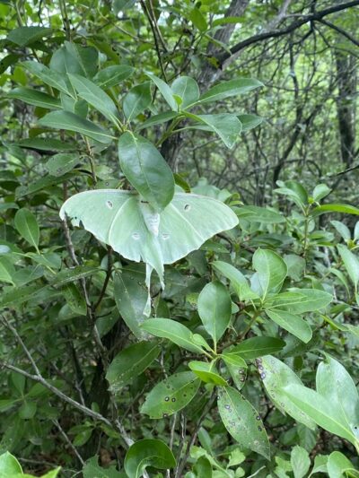High Rocks Trailhead - Wytheville, VA