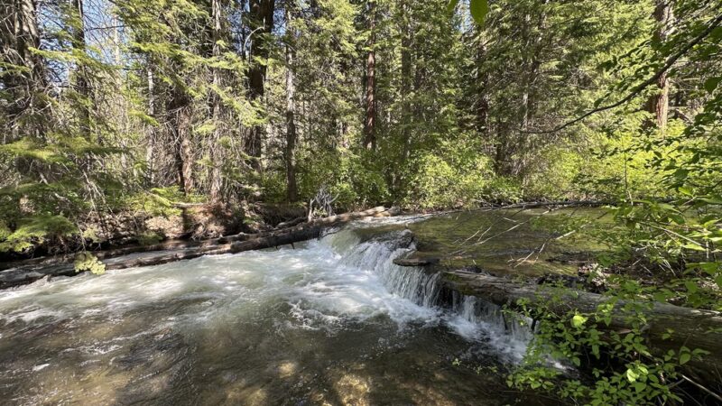 Ahtanum Meadow Campground - Yakima, WA