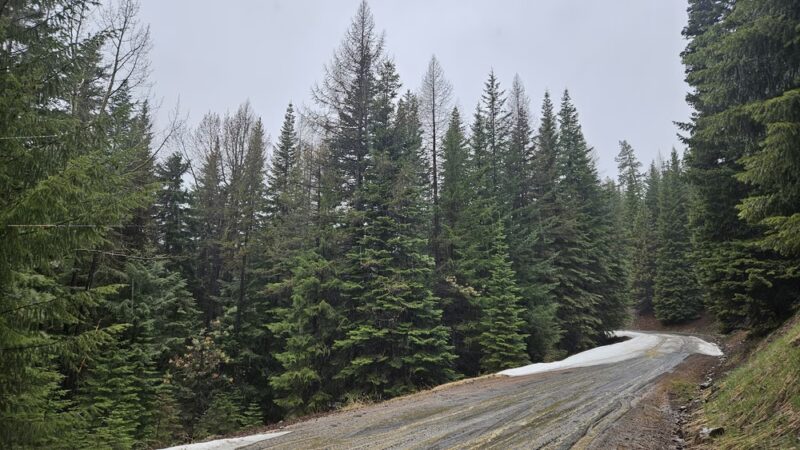 Ahtanum Meadow Campground - Yakima, WA