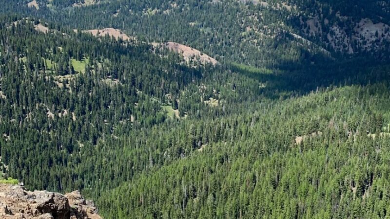 Ahtanum Meadow Campground - Yakima, WA