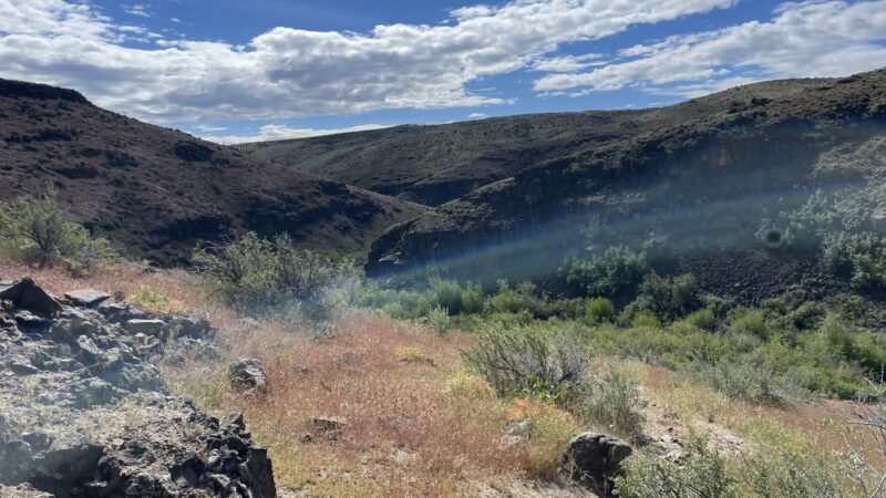 Cowiche Canyon Trail East Trailhead - Yakima, WA