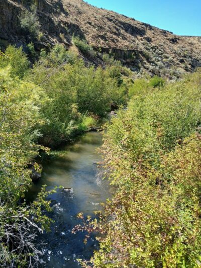 Cowiche Canyon Trail East Trailhead - Yakima, WA