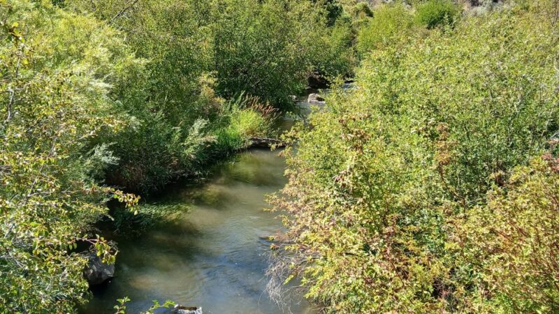 Cowiche Canyon Trail East Trailhead - Yakima, WA