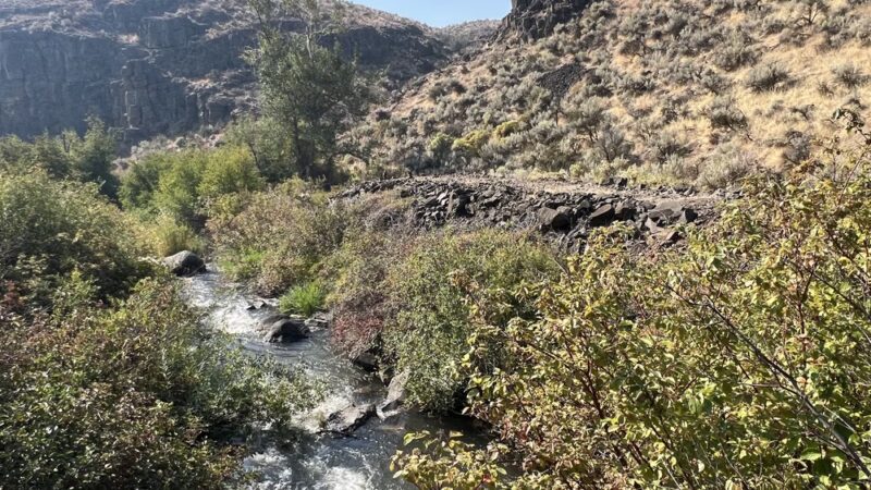 Cowiche Canyon Trail west trailhead - Yakima, WA