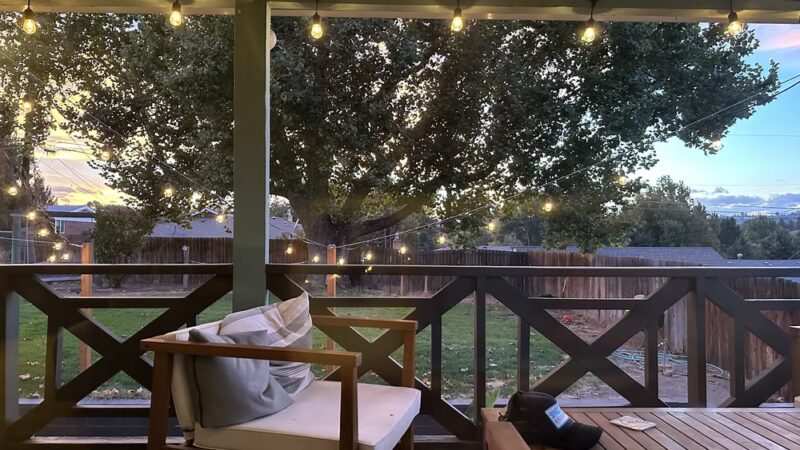 Largest Sycamore in Yakima - Yakima, WA