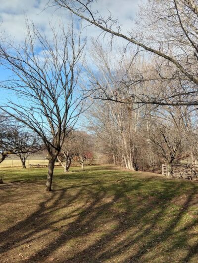 Norman & Nellie Dog Park - Yakima, WA