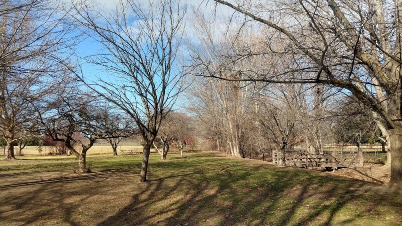 Norman & Nellie Dog Park - Yakima, WA