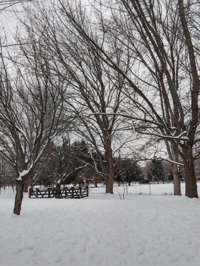 Norman & Nellie Dog Park - Yakima, WA