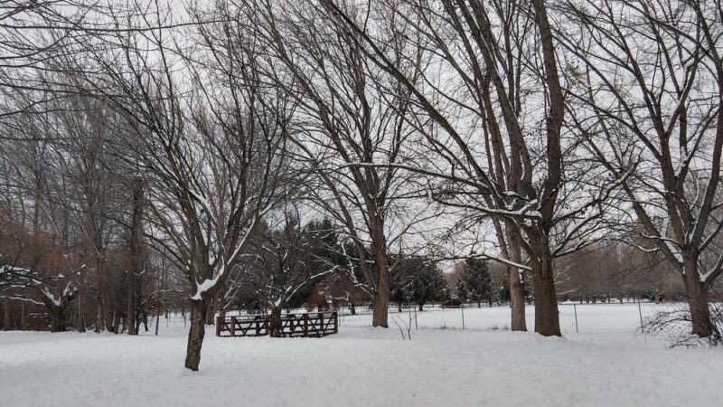 Norman & Nellie Dog Park - Yakima, WA