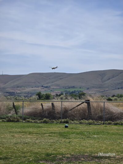 Randall Dog Park - Yakima, WA