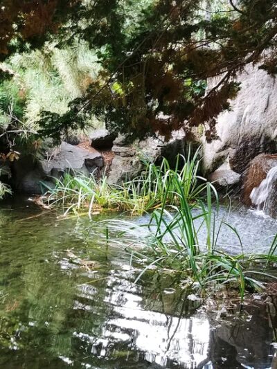 Sherman Park Dog Park - Yakima, WA