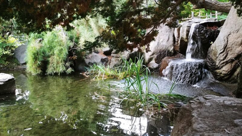 Sherman Park Dog Park - Yakima, WA